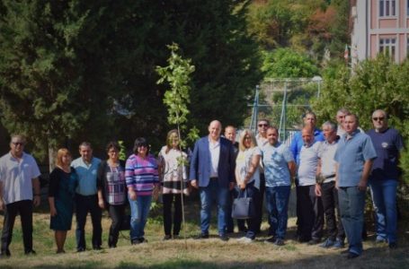 ГЕРБ-Белово откри предизборната си кампания със засаждането на дръвче
