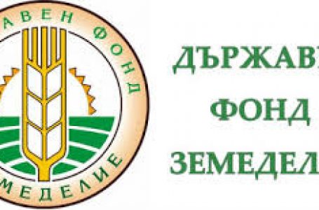 ДФЗ ще налага санкции на земеделските стопани, които умишлено палят сухи треви