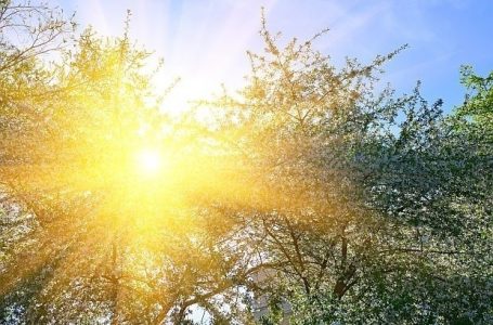 Максималните температури в страната ще са между 26° и 31°