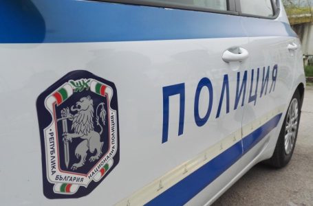 13-годишно момче от Пазарджик е откраднало 4-месечна немска овчарка