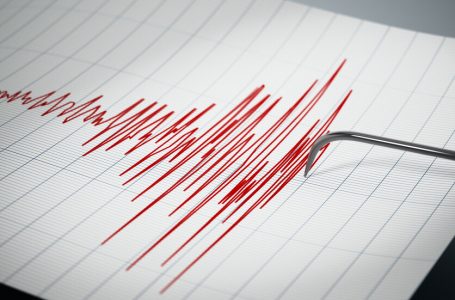 Земетресение от 4,5 степен разлюля Пазарджик и региона