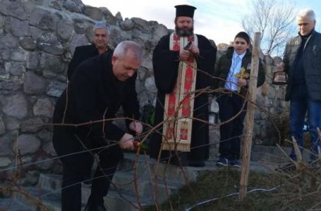 Кметът на Пещера заряза ритуално лоза, избраха и Цар на виното