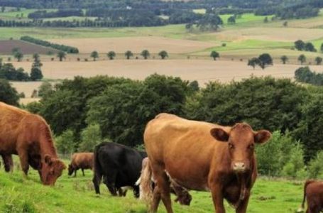 Фонд „Земеделие“ изплати близо 26 млн. лева за агроекология за Кампания 2019 г.