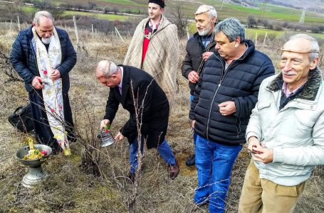 В селата Радилово и Капитан Димитриево отбелязаха Трифон Зарезан с ритуално зарязване на лозята