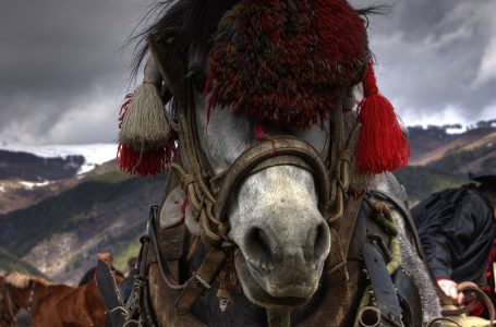 Надбягванията с коне – традиционни за Тодоровден