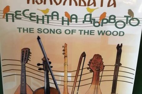 В Исторически музей-Велинград е открита изложба „Песента на дървото”