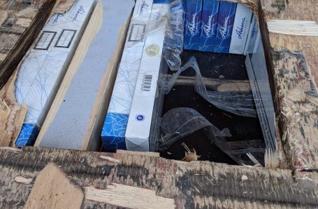 Голямо количество контрабандни цигари, в тайници на два камиона, откриха митничари на Капитан Андреево