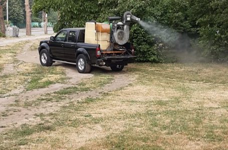 Община Карлово започна дезинсекция на зелените площи