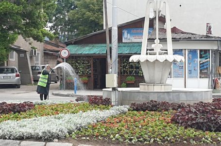 Зацветяват се ключови места във Велинград