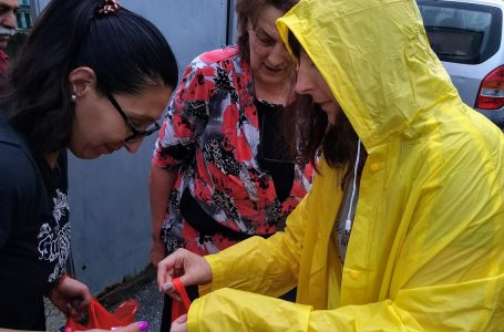 140 семейства от кварталите „Луковица“ и „Пирин“ в Пещера получиха пакети с хранителни продукт