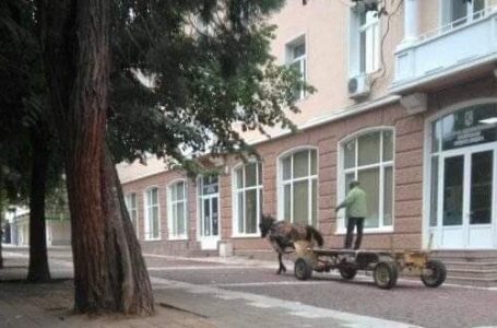 Община Пещера : Няма да се толерират нарушения на обществения ред, ще бъдат предприети законови мерки за наказания на нарушителите