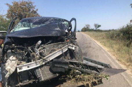 Мъж и жена загинаха при челен удар в катастрофа край Карлово
