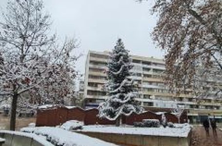 Коледната елха на Добрич ще грейне на 7 декември