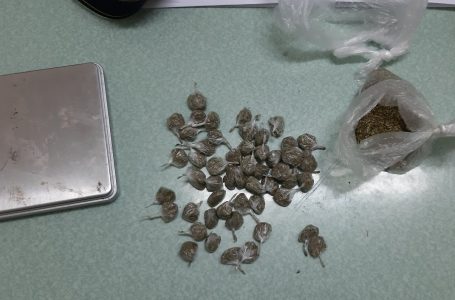 Жена в Пазарджик е хваната да пренася близо 20 грама наркотик