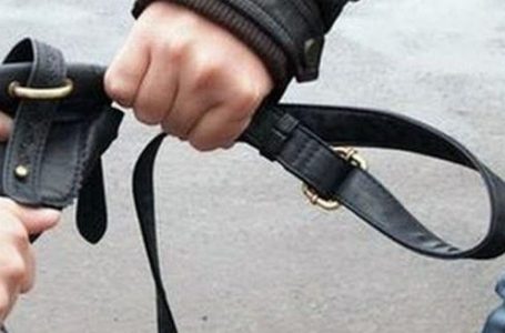 Три момчета са откраднали дамска чанта в Пещера, с 600 евро в нея