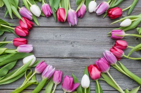 8 март-Международен ден на жената