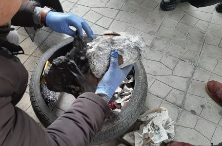 Две лица са задържани за наркотрафик през ГКПП Кулата