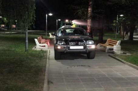 От утре във Велинград започва дезинсекция на зелените площи и речните корита