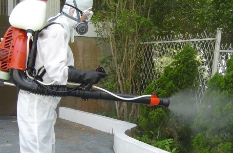 От 26 април в Карлово започва дезинсекция на зелените площи