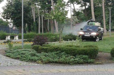 Зелените площи на територията на цялата община Карлово бяха обработени против вредители