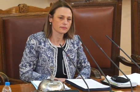 Ива Митева отново е председател на парламента