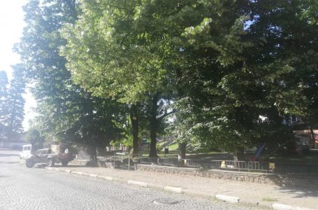 Община Карлово извърши дезинсекция против комари