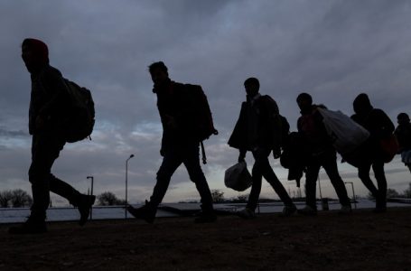 Група мигранти са открити на 75-ти километър на АМ “Тракия”, двама са задържани за превозването им