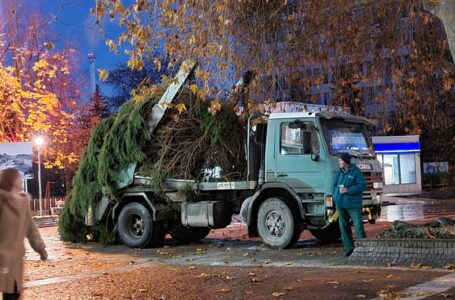 На 6 декември ще блесне елхата в Пещера