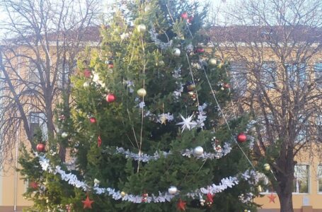 На 6 декември ще заблести коледната елха в Тополовград