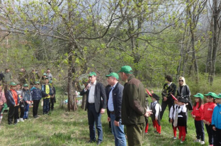 В Седмицата на гората: Горски и ентусиасти ще чистят балканските пътеки