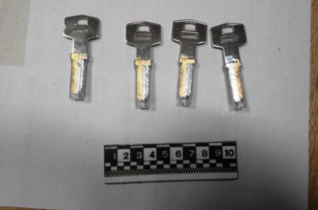 Известни столични крадци са задържани по време на поредния им удар от пазарджишки криминалисти