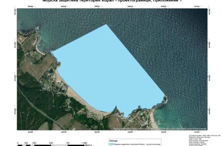 В МОРСКА ЗАЩИТЕНА МЕСТНОСТ „КОРАЛ“ СЕ ПРЕДВИЖДА ЗАБРАНА НА РИБОЛОВА СПОРЕД ПРОЕКТ НА ЗАПОВЕД НА МИНИСТЪР САНДОВ